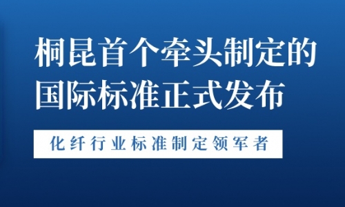 新突破！fun乐天使官网首个牵头制定的国际标准正式发布！